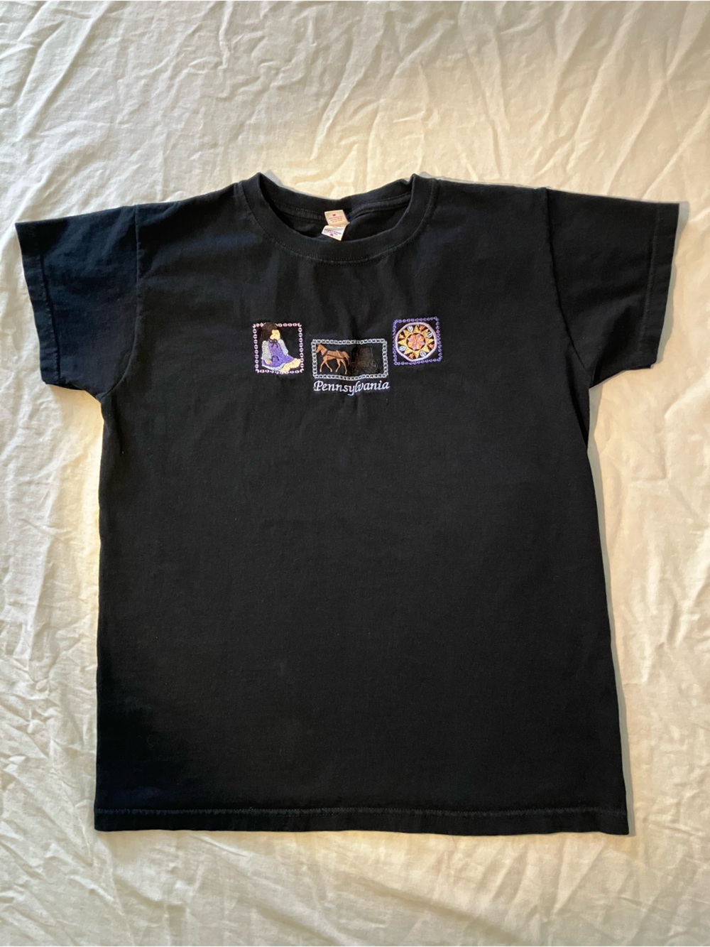 Anvil Black Kids Pennsylvania Graphic Tee with Purple Accents